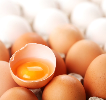 Egg Protein Rapid Test